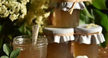 Elderflower and rhubarb jelly
