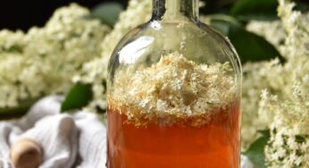 Elderflower vinegar