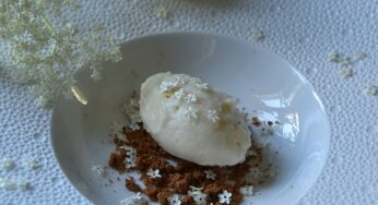 Elderflower syrup and sorbet