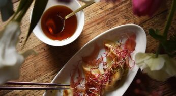 Gyozas aux légumes